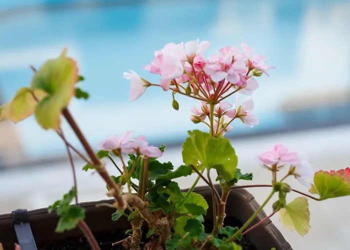 Διαμέρισμα Charming 1 Bedroom For Up To 4 Guests